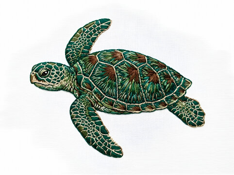 Green sea turtle swimming with detailed shell patterns and flippers