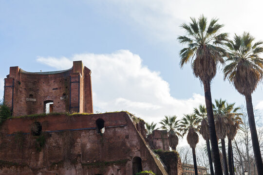 Ancient Roman Brick Ruins and Palm Trees in Rome, Italy