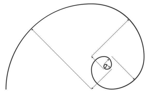 Golden ratio proportion. Composition rule spiral section