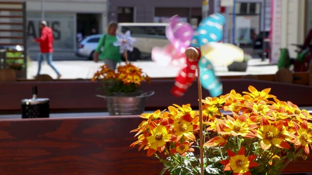 Colorful pinwheels spin in the breeze at outdoor German cafe