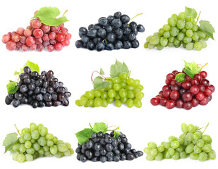 Obraz premium Bunches of different grapes isolated on white, set