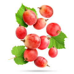 Obraz premium Fresh pink grapes and green leaves falling against white background