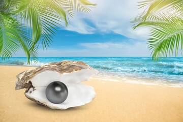 Oyster clam with pearl under palm leaves on sandy beach by sea © New Africa