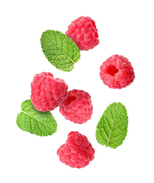 Fresh raspberries and mint leaves falling against white background