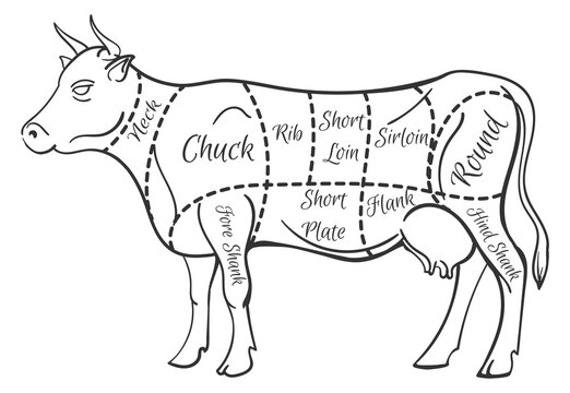 Cutting scheme in cow shape. Farm meat butchery