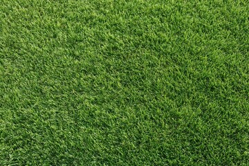 Obraz premium The Grass Closeup Showcases A Vibrant Green Carpet Of Blades In Sunlight