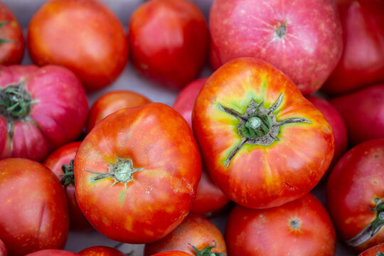  Veliki, nepravilni domaći paradajz roze i crvene boje složen u gajbi ili na gomili.