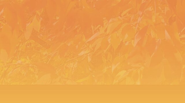 Autumn/Fall Leaves Blowing gently in the Breeze on Tree Branch w/Gradient Overlay of Orange & Yellow-Background, backdrop, Border, Wallpaper, Frame w/space for message, text or advertisement