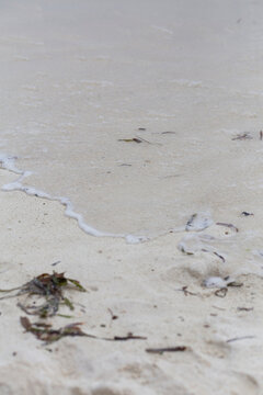 White sand beach with transparent water shore in Maldives