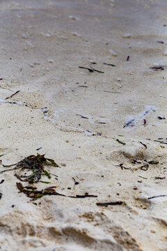 White sand beach with transparent water shore in Maldives
