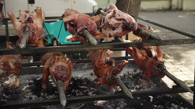 Whole pigs roast on spits over charcoal at an outdoor food event. Traditional barbecue scene for gastronomy, catering, tourism and food promotion