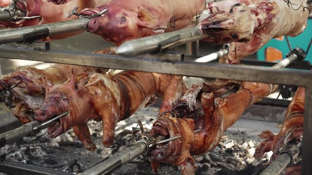 Whole pigs roast on spits over charcoal at an outdoor food event. Traditional barbecue scene for gastronomy, catering, tourism and food promotion