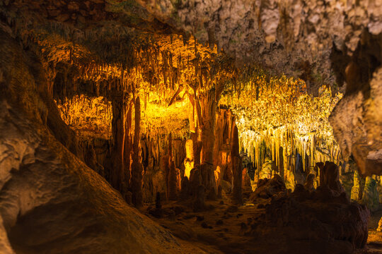 Inside The Coves dels Hams