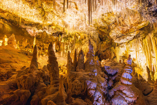 Inside The Coves dels Hams