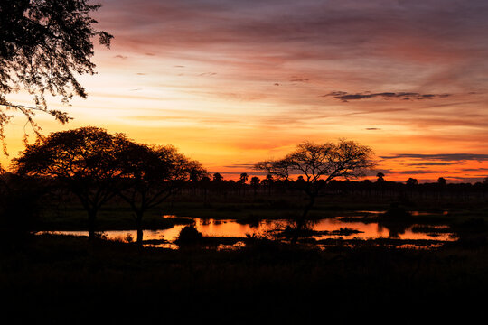 Dramatic sunset over wetland floodplain in Murchison Falls National Park, Uganda, silhouetted acacia and palm trees reflected in still water, vivid orange sky, safari landscape travel photography