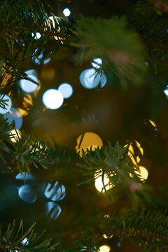 vertical macro close-up of Christmas tree branches with soft pine needles in sharp focus, illuminated by warm golden and cool white string lights creating a rich bokeh pattern 