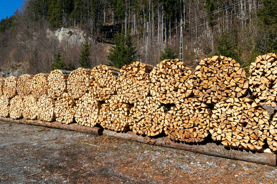 Tightly bound bundles of firewood stacked neatly at the edge of a Swiss forest, illustrating traditional wood storage and the careful organization of harvested timber.