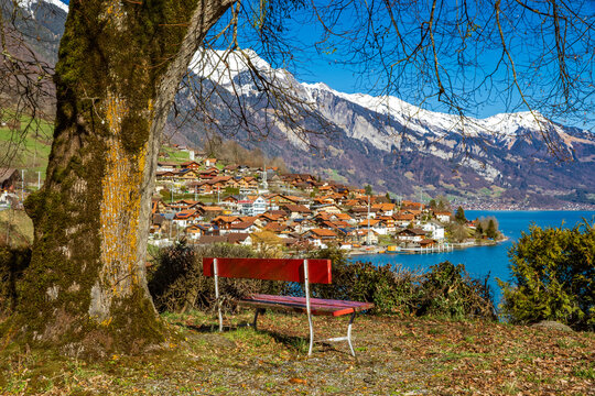 Bench beneath a tree overlooking Oberried am Brienzersee and Lake Brienz, with the Alpine landscape surrounding the lakeside village in Switzerland.