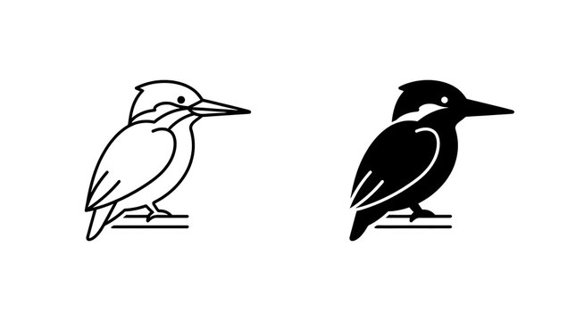 Kingfisher bird outline and solid vector icon set isolated on transparent background
