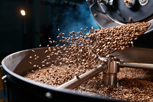 The Industrial Coffee Roasting Machine Casting Cascading Beans Across a Conveyor
