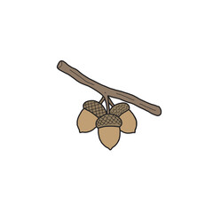 Hand drawn retro acorns on branch vintage autumn oak pine nut forest illustration isolated on transparent background  © Sibin