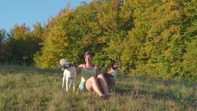 CLOSE UP, PORTRAIT, AERIAL: Smiling woman sits in grassy meadow as mixed breed dogs approach and settle beside her. Happiness and strong bond between pets and owner in golden light and autumn trees.
