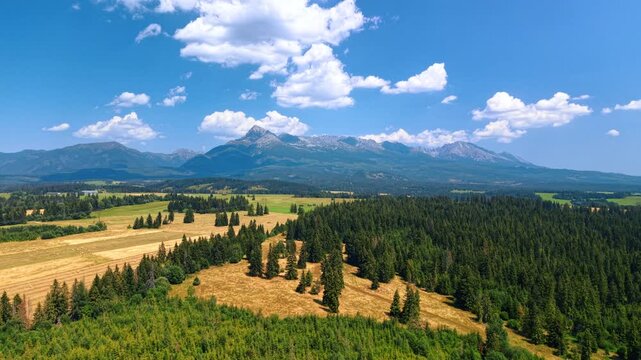 High Tatras and Krivan above forests and harvested fields. Conifers border yellow fields beneath rocky peaks and scattered clouds in an aerial view.