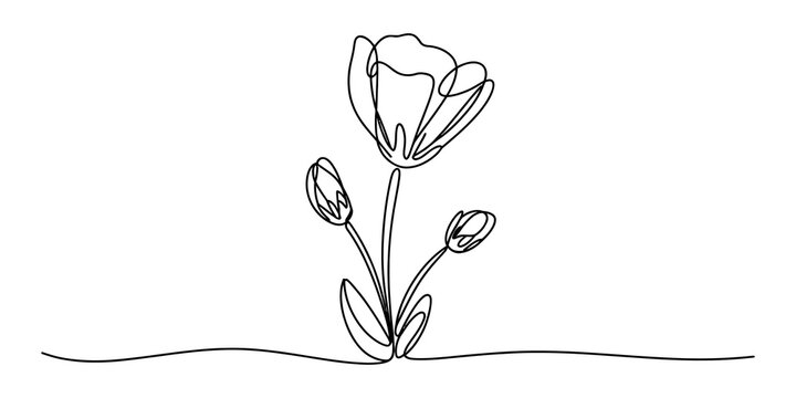 Beautiful single line drawing of a blooming flower with small buds and leaves created in a minimalist continuous art style isolated on transparent background