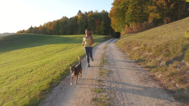 AERIAL: Cheerful young woman runs toward the camera with two mixed breed dogs on a gravel road through rolling countryside while warm autumn sunlight illuminates colorful forest and grassy hills.