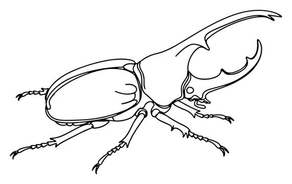 Rhinoceros Beetle Insect Line Art Drawing, Hercules Beetle Bug Outline Vector Illustration, Detailed Wildlife Entomological Graphic