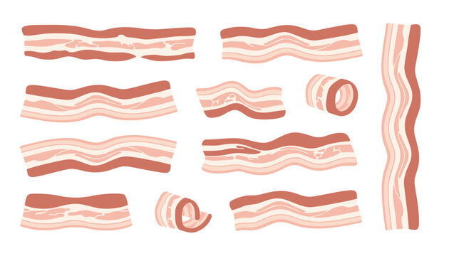 Set of raw bacon slices, strips, and rolls in a delicious hand-drawn vector illustration style for breakfast and meat recipes.