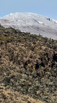 Paisaje del parque de los nevados en Colombia, en donde se ubica el nevado del Ruiz.