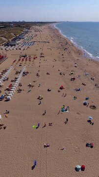 Vertical aerial drone video of Katwijk aan Zee wide sandy beach, North Sea coast, beach cabins, dunes, and horizon in South Holland, Netherlands on sunny summer day