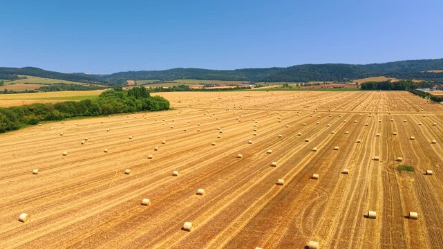 Straw bales across a harvested field. Aerial view reveals long lines of straw bales across vast harvested agricultural land near distant hills.