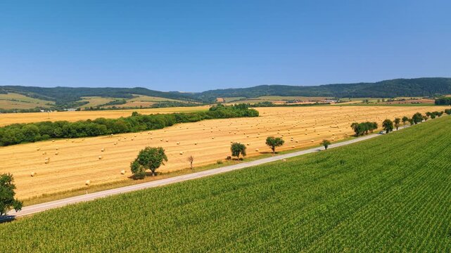 Straw bales beside a country road and cornfield in Slovakia. A road lined with trees separates yellow stubble from green crop rows beneath a blue sky.