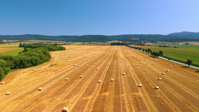 Golden stubble field with hay rolls. Aerial view reveals long lines of straw bales across vast harvested agricultural land near distant hills.