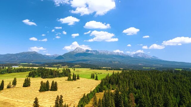 High Tatras mountains with yellow harvested field and pine forest, Slovakia. Agricultural farmland with hay rolls lies near dense green woods under blue sky.