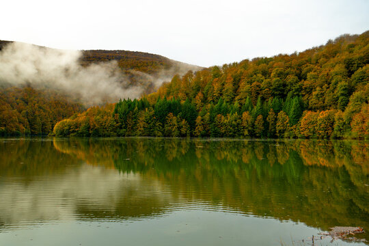 Oto&ntilde;o y sus colores