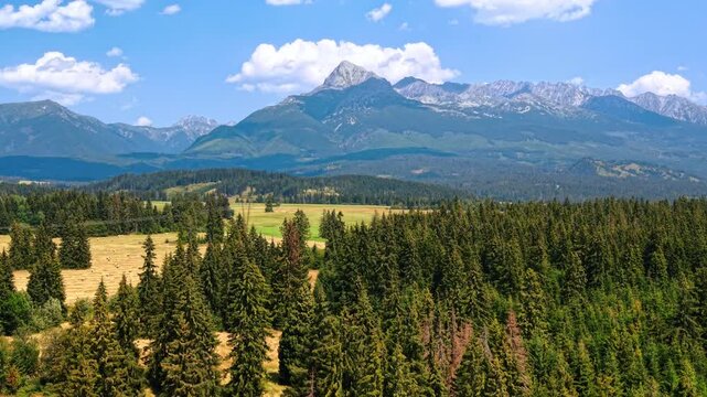 High Tatras mountain peak behind dense coniferous forest, Slovakia. Evergreen tree tops cover hills with rocky mountain background under clouds.