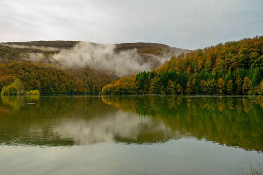 Oto&ntilde;o en la Selva de Irati 