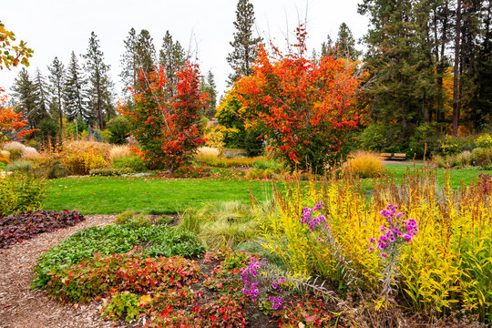 Bright autumn colors in the city park