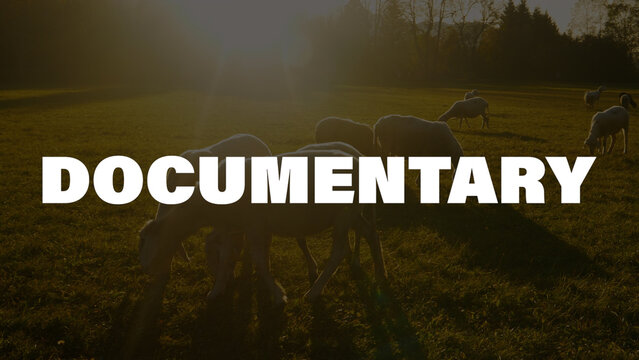 Documentary Text
