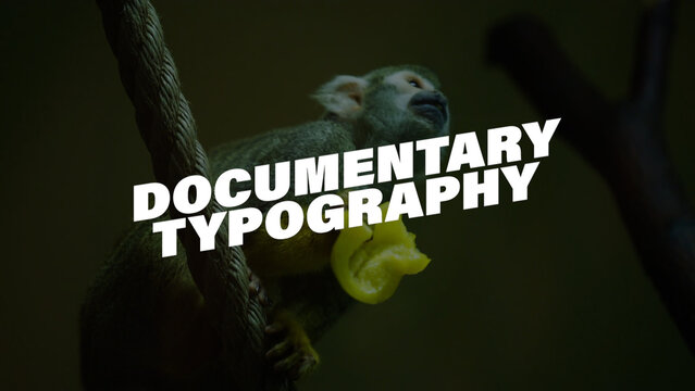 Documentary Typography Template