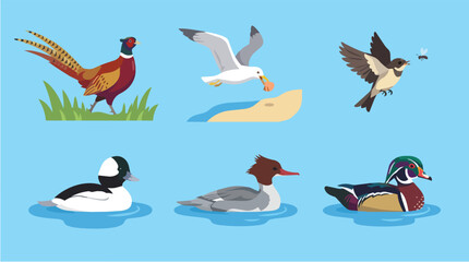 Obraz premium Flat Set Collection of Five Birds Illustration