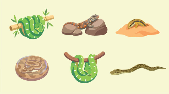 Flat Set Collection of Six Different Snake Illustrations