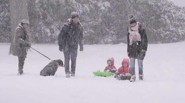 A family and a woman with a dog walk through snow during snowfall in Ystad, Sk&aring;ne County, Sweden, Scandinavia