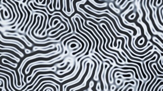 Gray-Scott reaction diffusion Turing pattern growing and pulsing organic maze abstract background seamless loop in deep charcoal tones