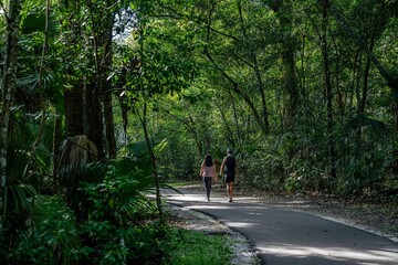 Fototapeta premium Spring Hammock Preserve, Florida
