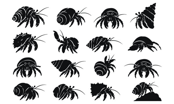 Black Hermit Crab Silhouette Collection with Different Shell Shapes and Natural Poses