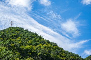 Electricity transmission tower stands on a lush green forested mountain summit under a bright blue sky with white clouds. © 완수 안